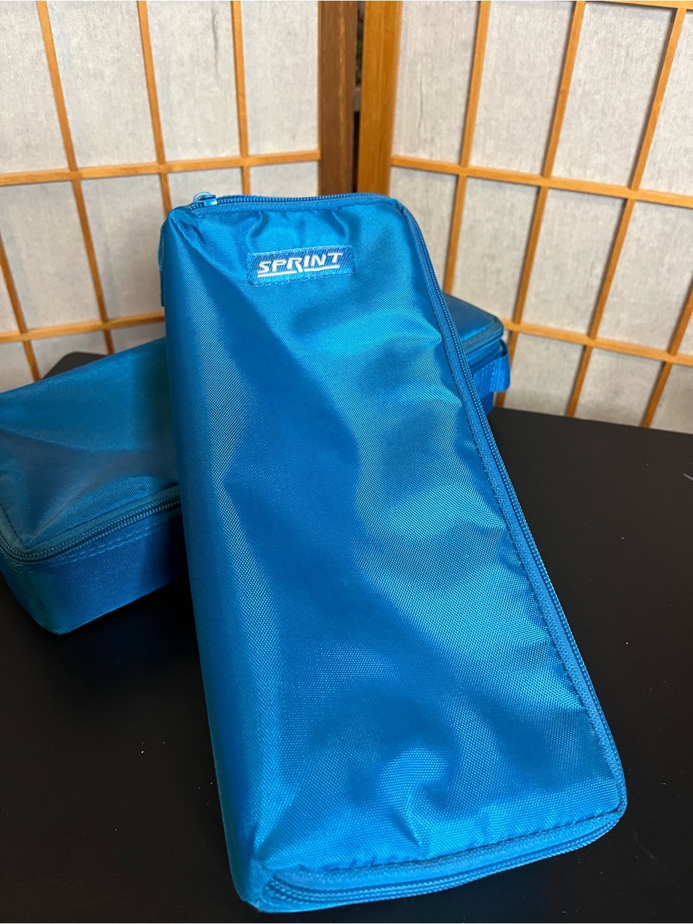 2 vintage Sprint 15 cassette carrying cases soft sided nylon